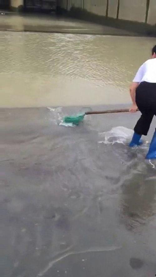 退水之后,揭秘生态变迁与可持续发展之路